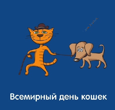 открытки про кошек